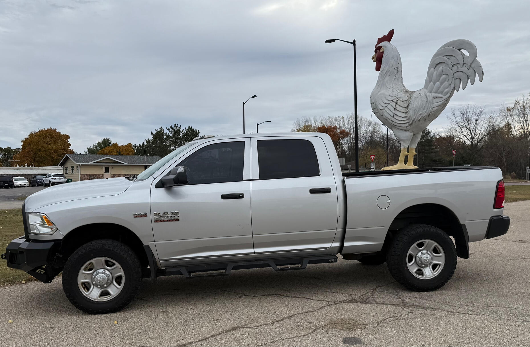 Right Behind the Big Chicken